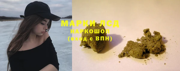 дмт Алзамай